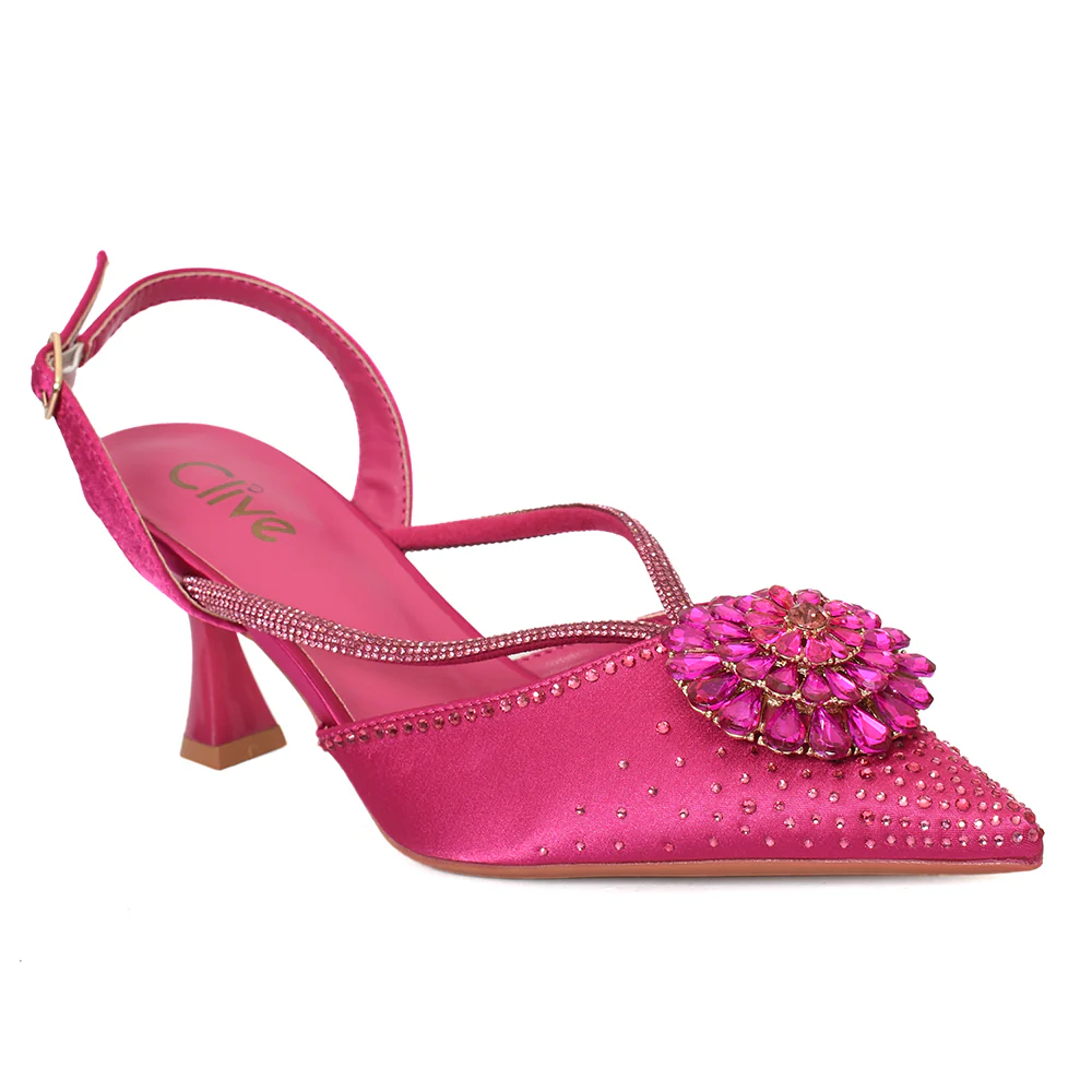 Fancy Court Shoes